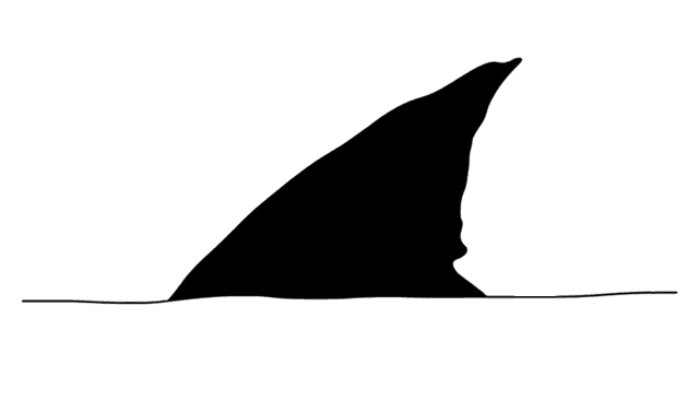 SmartShark Tech logo